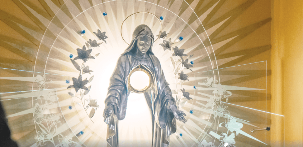 Read more about the article Meteor 1/2024