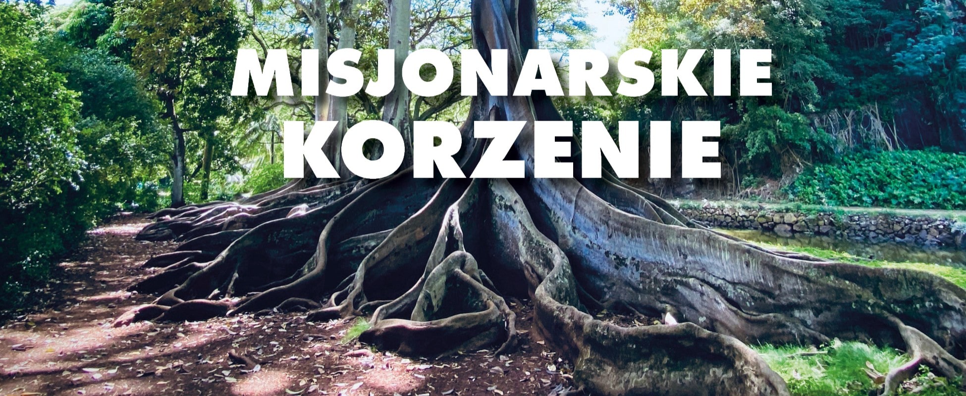 Read more about the article Meteor 4/2024